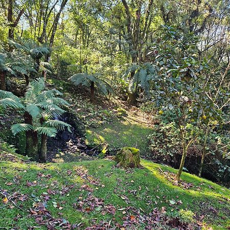 Cantinho Das Oliveiras. Gramado Zewnętrze zdjęcie