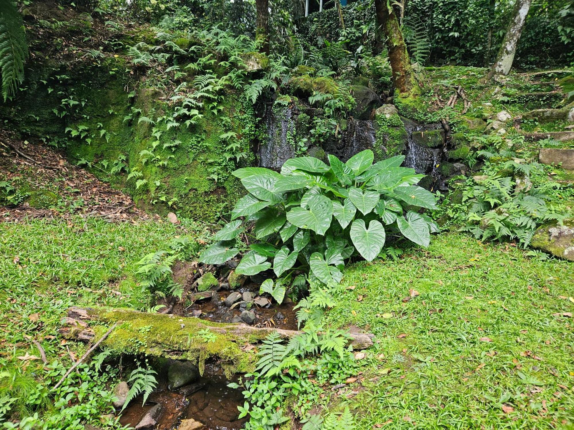 Cantinho Das Oliveiras. Gramado Zewnętrze zdjęcie