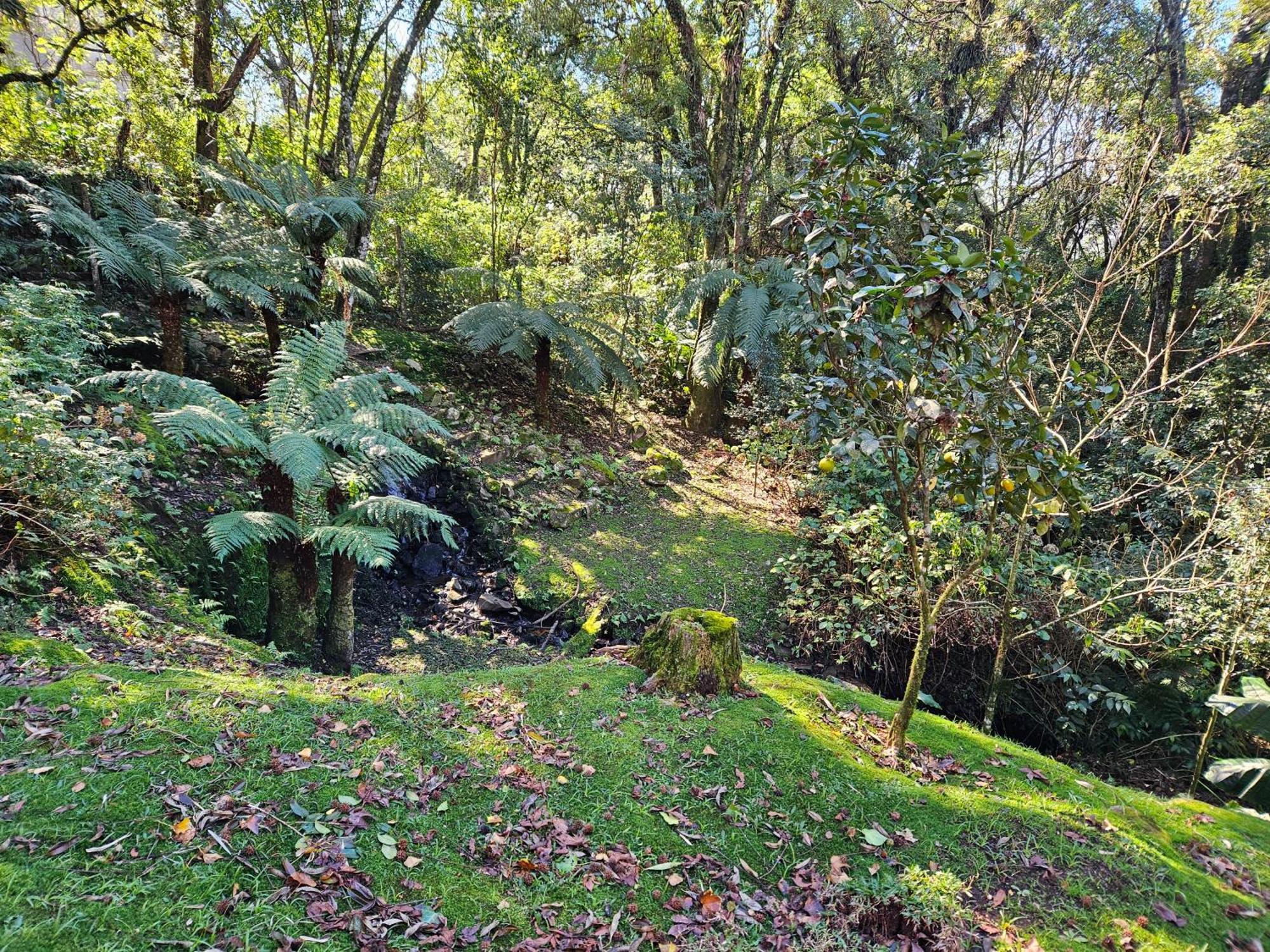 Cantinho Das Oliveiras. Gramado Zewnętrze zdjęcie